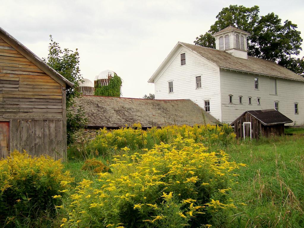 Saratoga Farmstead B&B Саратога Спрингс Екстериор снимка