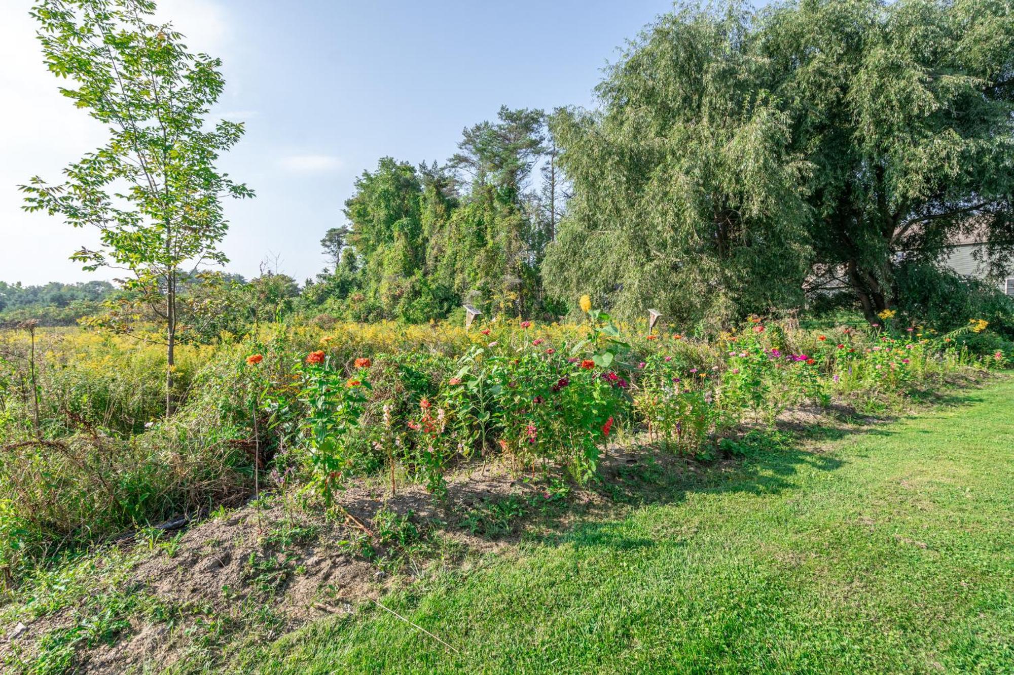 Saratoga Farmstead B&B Саратога Спрингс Екстериор снимка