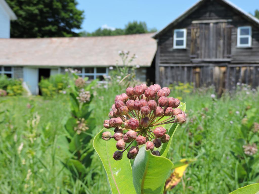 Saratoga Farmstead B&B Саратога Спрингс Екстериор снимка